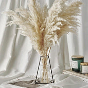 BrightBreeze - Fluffy Cream Pampas Grass for Boho Styling