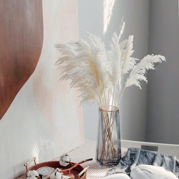 BrightBreeze - Fluffy Cream Pampas Grass for Boho Styling