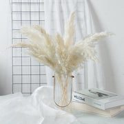 BrightBreeze - Fluffy Cream Pampas Grass for Boho Styling