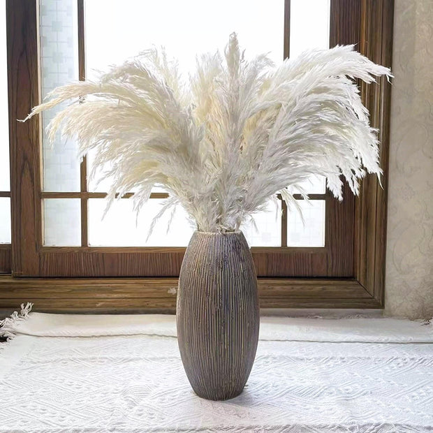 BrightBreeze - Fluffy Cream Pampas Grass for Boho Styling