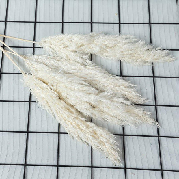 BrightBreeze - Fluffy Cream Pampas Grass for Boho Styling