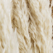 BrightBreeze - Fluffy Cream Pampas Grass for Boho Styling