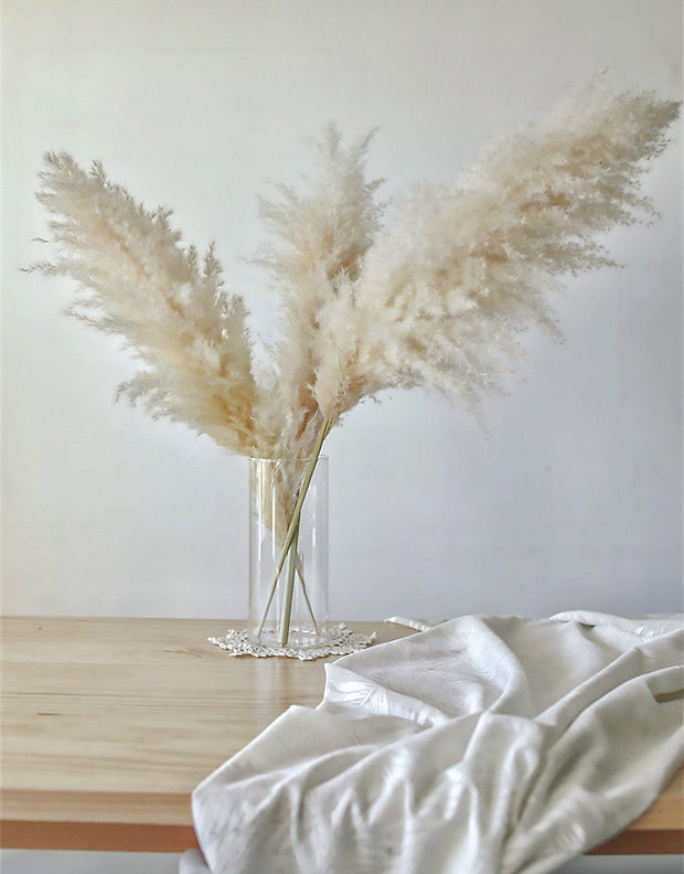 BrightBreeze - Fluffy Cream Pampas Grass for Boho Styling