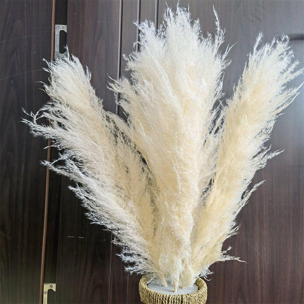 BrightBreeze - Fluffy Cream Pampas Grass for Boho Styling