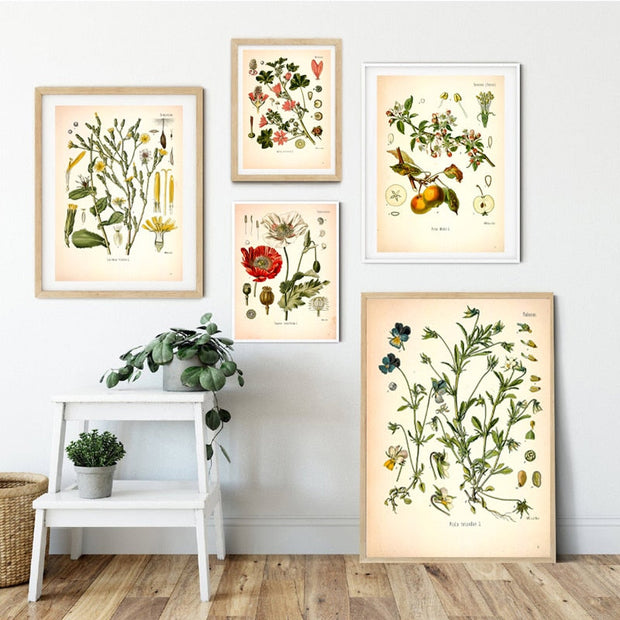 AntiqueFlora – Detailed botanical masterpieces on canvas