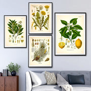 AntiqueFlora – Detailed botanical masterpieces on canvas