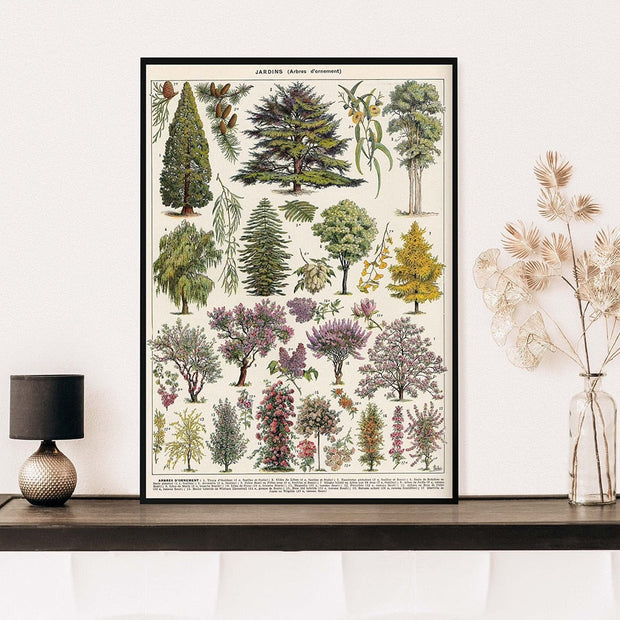 NatureLegacy – Exquisite Hand-Illustrated Botanical Art on Premium Canvas