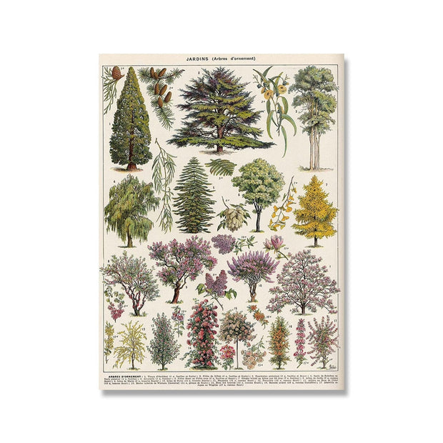 NatureLegacy – Exquisite Hand-Illustrated Botanical Art on Premium Canvas