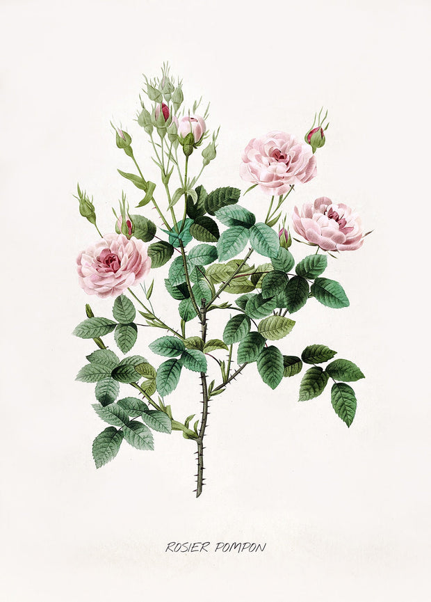 FloraLuxe – Elegant Botanical Art on Premium Canvas