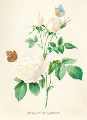 FloraLuxe – Elegant Botanical Art on Premium Canvas