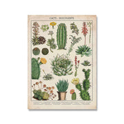 NatureLegacy – Exquisite Hand-Illustrated Botanical Art on Premium Canvas