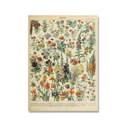 NatureLegacy – Exquisite Hand-Illustrated Botanical Art on Premium Canvas