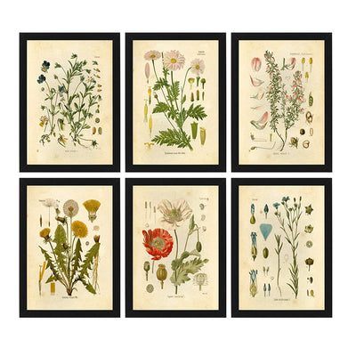 TimelessBlooms – Vintage Botanical Canvas Art for Classic Interiors